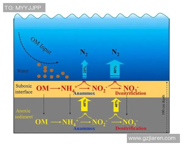 赛后分析：北京排球队与南京排球队在比赛中速度对比的深度探讨